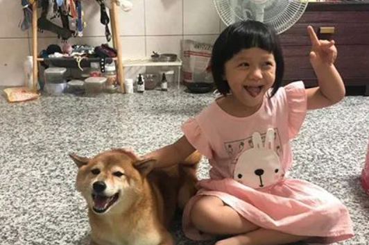 主人派狗子去照看小宝宝，结果笑喷了