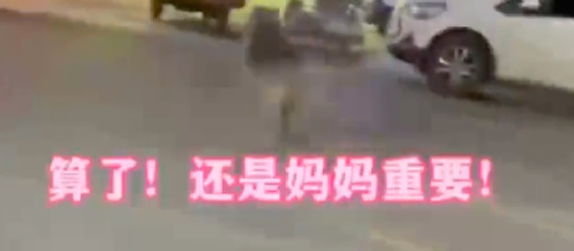 狗看见主人走了,连饼干都不要了,立马去追 狗看见主人走了,连饼干都不要了,立马去追
