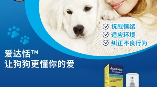 爱达恬有用吗 爱达恬有用吗