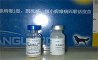 辉瑞卫佳5一共要打几次