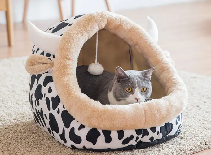 如何让猫自己去猫窝 如何让猫自己去猫窝