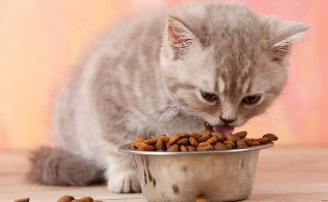 猫粮是无谷的好还是有谷的好