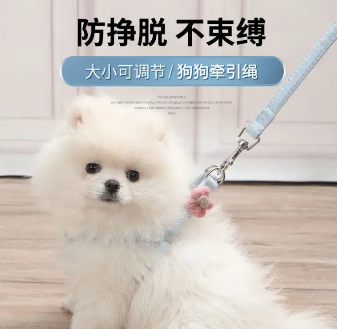 小狗没带过牵引绳怎么办
