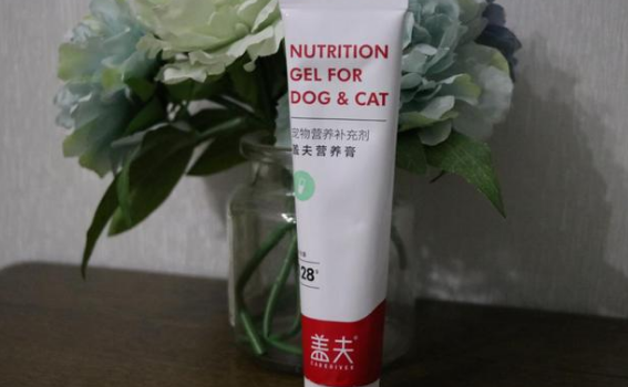 盖夫营养膏怎么看保质期 盖夫营养膏怎么看保质期