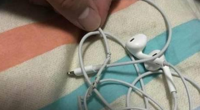 小猫咪被前主人闷死未遂,网友怜惜将其捡回,过后直言将其闷死 小猫咪被前主人闷死未遂,网友怜惜将其捡回,过后直言将其闷死