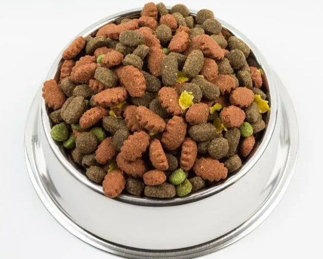 换狗粮的注意事项,这三点主人要记得 换狗粮的注意事项,这三点主人要记得