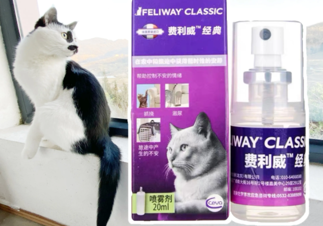 费利威对猫咪的作用 费利威对猫咪的作用