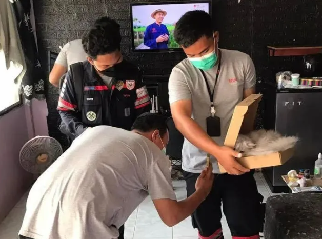 工作人员上门维修网络,却对猫干这事 工作人员上门维修网络,却对猫干这事