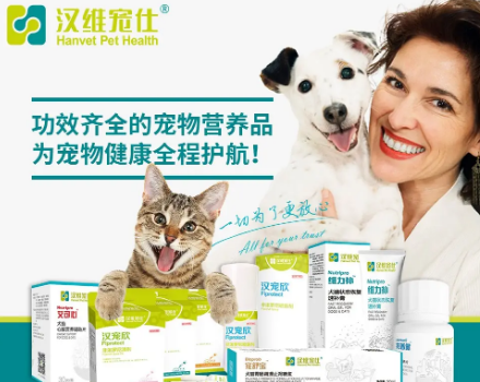 汉维宠仕属于什么档次