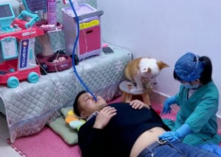 萌娃做“剖腹产”狗狗在一旁“监工” 萌娃做“剖腹产”狗狗在一旁“监工”