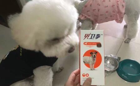 贝卫多对螨虫有效果吗 贝卫多对螨虫有效果吗