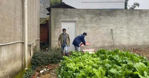 派摩公益丨愿每只无家可归的小动物,都能感受到世间温暖 派摩公益丨愿每只无家可归的小动物,都能感受到世间温暖