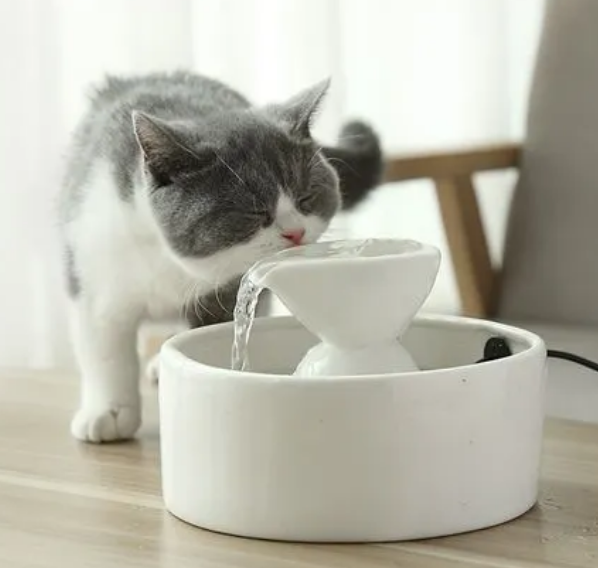 猫卜力陶瓷饮水机怎么安装