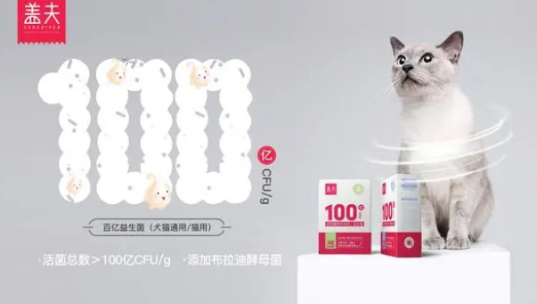 双品牌+投资2家工厂，盖夫内外贸布局全球