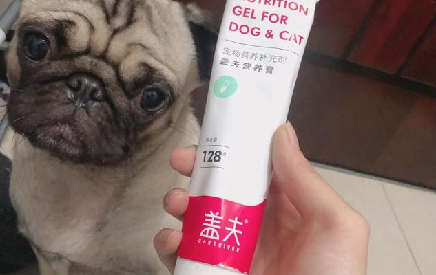 盖夫营养膏和红狗营养膏哪个好 盖夫营养膏和红狗营养膏哪个好