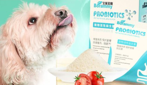 狗狗拉稀吃益生菌管用吗怎么吃