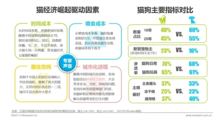 pidan「平静之美」的品牌表达，为新时代人宠关系写下注解