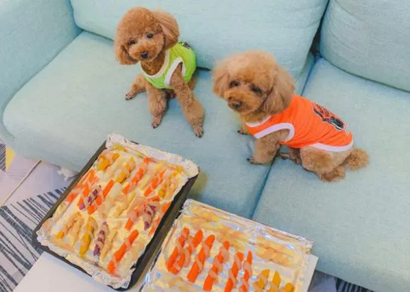 宠物零食都怎么做