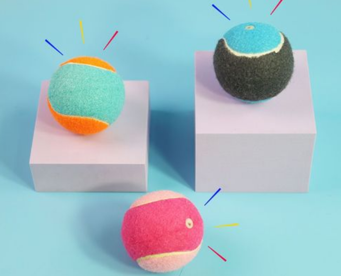 seulecare戏宠品牌介绍 seulecare戏宠品牌介绍