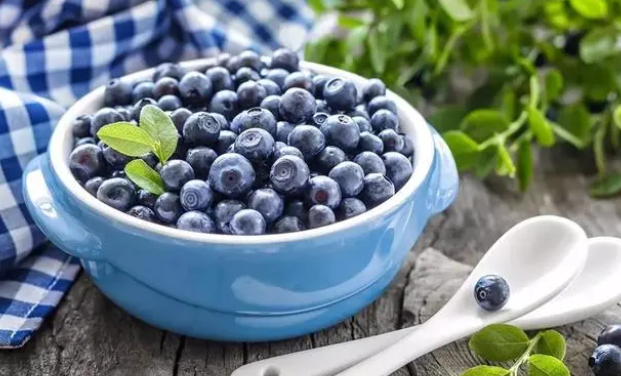猫能吃什么水果蔬菜 猫能吃什么水果蔬菜
