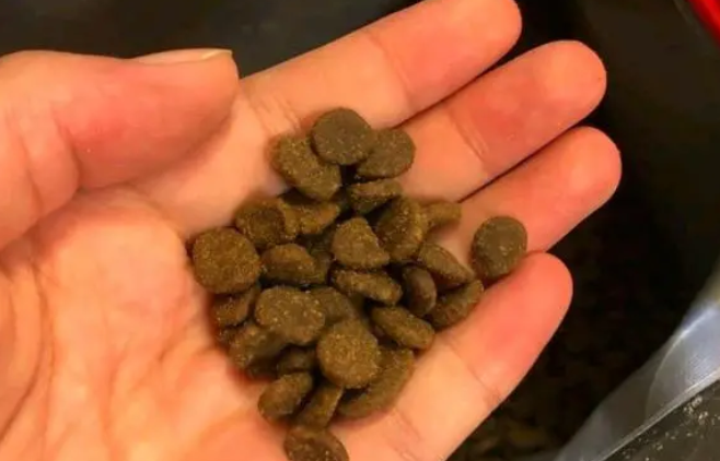春节过年囤货猫粮,渴望无谷鸡肉猫粮 春节过年囤货猫粮,渴望无谷鸡肉猫粮