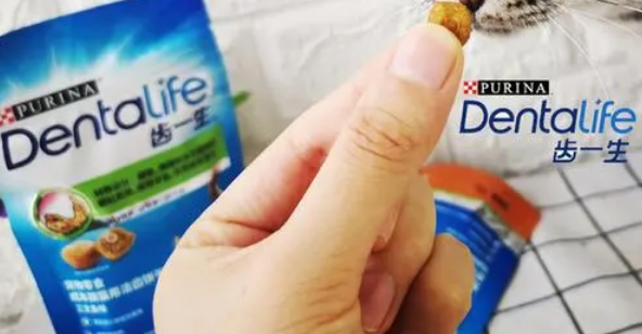 齿一生猫饼干成分