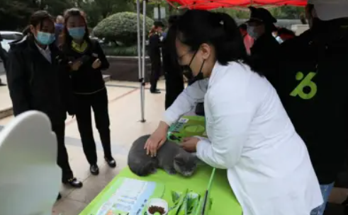 比乐科学文明养宠公益活动走进社区 比乐科学文明养宠公益活动走进社区