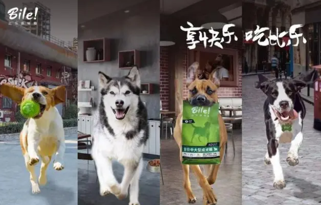 突破中高端宠物,比乐如何乘风扶摇而上 突破中高端宠物,比乐如何乘风扶摇而上
