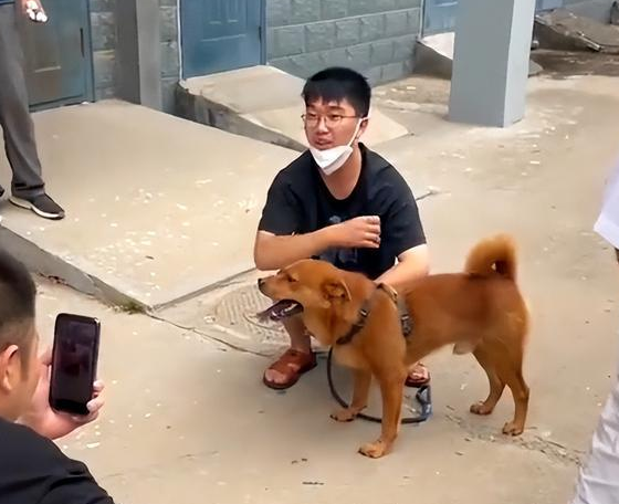 百万网红虐狗疑似反转，狗主人自证清白