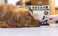国产狗粮性价比高的有什么品牌