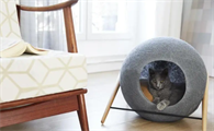 怎么给猫窝消毒