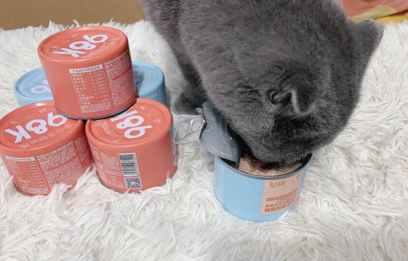 好适嘉猫粮罐头怎么样