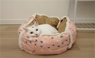 如何给猫咪做窝