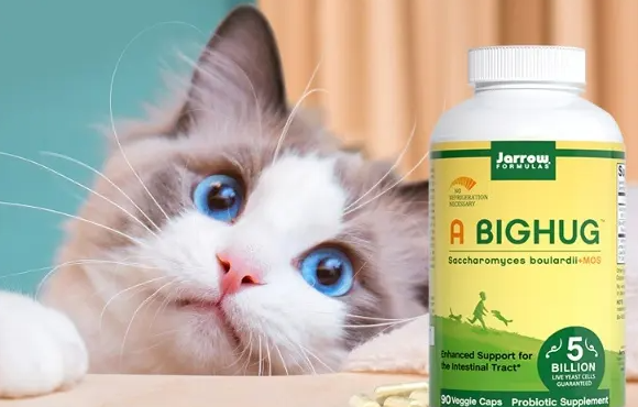 布拉迪益生菌猫咪怎么吃 布拉迪益生菌猫咪怎么吃