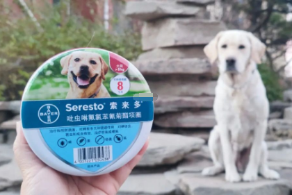 索来多驱虫项圈是什么材质做的 索来多驱虫项圈是什么材质做的