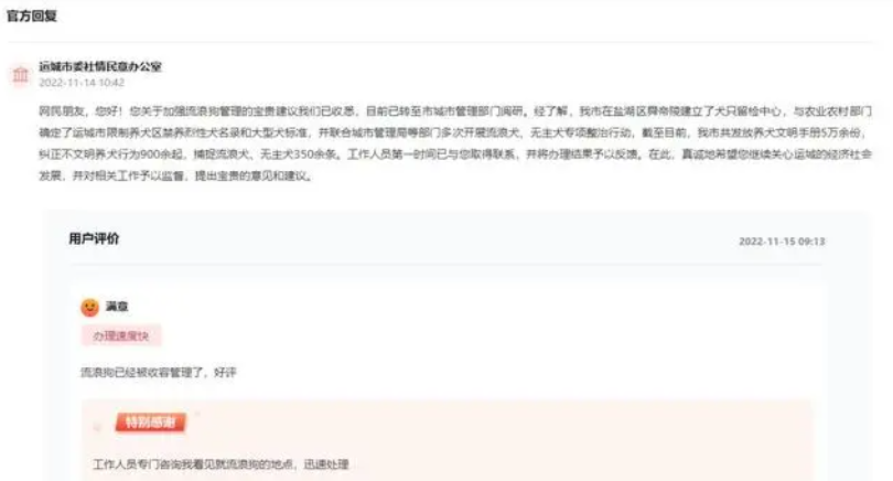网友建议加强流浪狗的收容管理 山西运城：专项整治