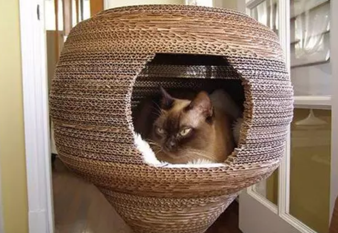 猫窝狐臭味,应该如何正确清理呢? 猫窝狐臭味,应该如何正确清理呢?