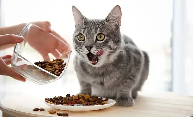 100克猫粮是多少