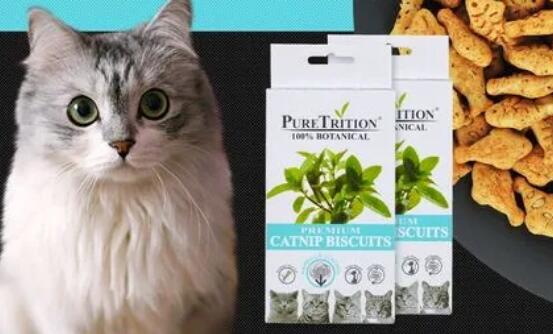 柏可心猫粮怎么样