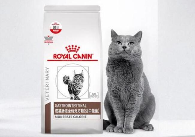 哪个品牌的猫粮调理肠胃 哪个品牌的猫粮调理肠胃