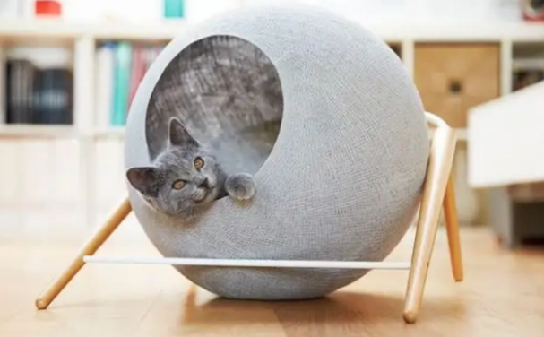 为什么不肯再睡猫窝了?可能是这几个原因 为什么不肯再睡猫窝了?可能是这几个原因