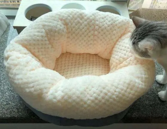 猫咪并非不喜欢猫窝,拒绝入住只因铲屎官的三种错误挑选 猫咪并非不喜欢猫窝,拒绝入住只因铲屎官的三种错误挑选