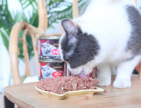 莱昂纳多leonardo猫罐头是小李子产业吗