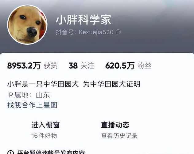 百万网红虐狗疑似反转，狗主人自证清白