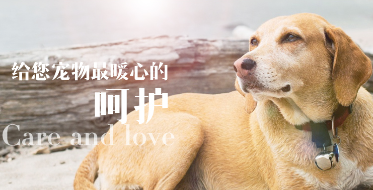小可宠药止泻糖浆多少钱一盒 小可宠药止泻糖浆多少钱一盒