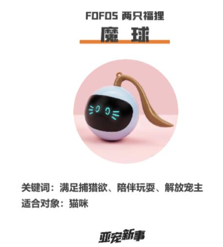 FOFOS 两只福狸 为猫主子提供“私家健身教练” FOFOS 两只福狸 为猫主子提供“私家健身教练”