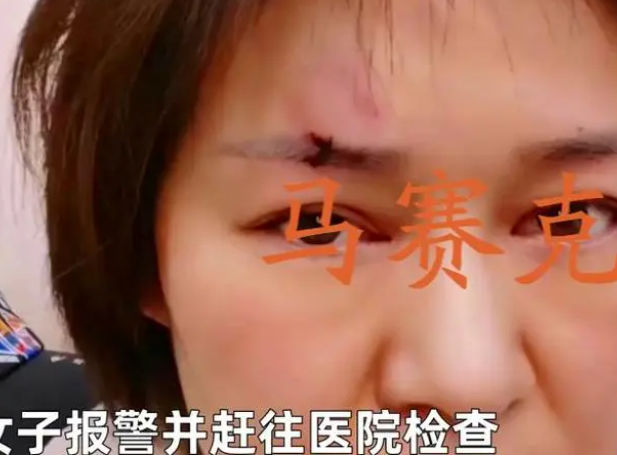 女子肉夹馍被狗抢惊吓驱赶,主人竟命令狗去咬女子,网友:咬回去 女子肉夹馍被狗抢惊吓驱赶,主人竟命令狗去咬女子,网友:咬回去