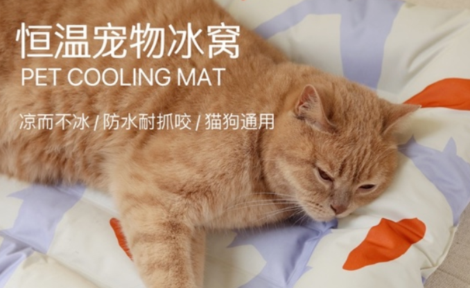 Paws Holic爪迷推出夏季新品，来看看吧