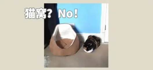 给猫咪买了一个猫窝,它却毫无兴趣,这是为什么啊? 给猫咪买了一个猫窝,它却毫无兴趣,这是为什么啊?