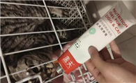 盖夫营养膏怎么样